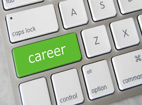 Career Selection-A Basic Insight